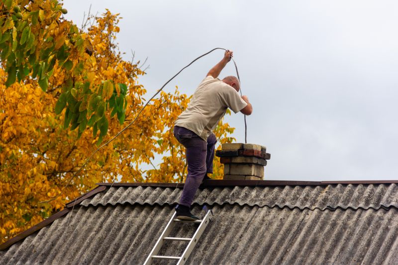 Spring Chimney Inspection